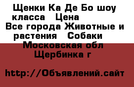 Щенки Ка Де Бо шоу класса › Цена ­ 60 000 - Все города Животные и растения » Собаки   . Московская обл.,Щербинка г.